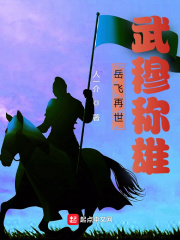 岳飛再世,武穆稱雄